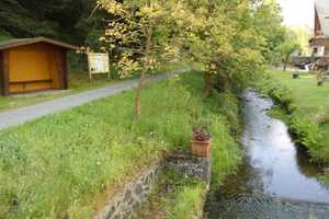 4,5-Zimmer-Einfamilienhaus mit großem Grundstück – nur 30 Min. von Frankfurt - Keine Provision – Usinger Straße 32, 61389 Hochtaunuskreis – Vorschaubild 31