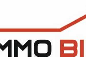MFH mit Halle (ehemaliger Bauernhof) technisch i.O., gut vermietet in Welgesheim zu verkaufen – Mainz-Bingen (Kreis) – Vorschaubild 8
