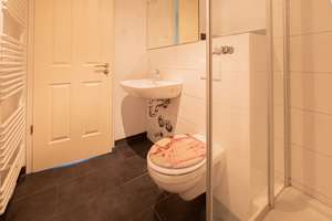 Singlewohnung in zentraler Lage, mit Terrasse, Parkett, Fußbodenheizung und Dusche. – Freiberger Straße 61, 1159 Wilsdruffer Vorstadt/Seevorstadt-West, Dresden – Vorschaubild 5