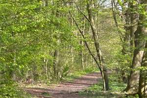 Helle luxuriöse Biowohnung mit Aussicht im beliebten Breedenviertel Südhang Teutoburger Wald – Waldbreede 16, 33649 Brackwede, Bielefeld – Vorschaubild 21