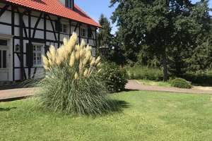 Noch online bis  13. August 26  bei Immoscout 24 zu  Verk. Grundstk 13500 m²  3  Familienh. in Essen – Die vollständige Adresse der Immobilie erhältst du vom Anbieter., 45307 Leithe, Essen – Vorschaubild 4