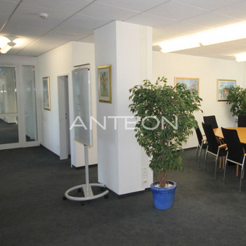 Zentrale Lage | Repräsentativer Foyer Bereich | Tiefgarage