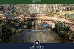 Lebensquell Hubenmühle - Wohnen & Arbeiten im Rückzugsort am Wasser – Die vollständige Adresse der Immobilie erhältst du vom Anbieter., 88634 Herdwangen-Schönach – Vorschaubild 17