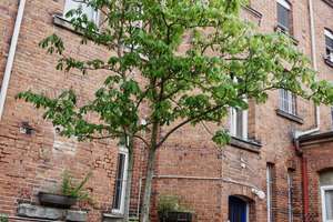 Charmante 3-Zimmer-Altbauwohnung im Hummelsteiner Weg – provisionsfrei – Die vollständige Adresse der Immobilie erhältst du vom Anbieter., 90459 Galgenhof, Nürnberg – Vorschaubild 30