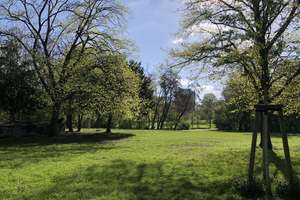 Property thumbnail 15