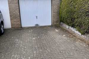 Das Haus für die große Familie im schönen Lembeck. – Recklinghausen (Kreis) – Vorschaubild 8