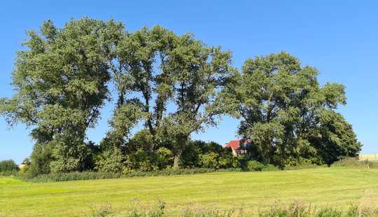 Bild von Doppelhaus mit Einliegerwohnung in Alleinlage von Varel-Streek      