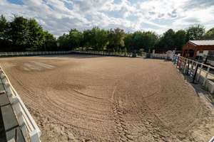 Moderne Reitanlage mit attraktivem Wohnhaus! – Die vollständige Adresse der Immobilie erhältst du vom Anbieter., 55271 Stadecken-Elsheim – Vorschaubild 26