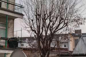 Pempelfort - Zentral und ruhig, sonniger Südbalkon, abgetrennte kleine Küche - € 670 warm ab 1. Juli – Pfalzstraße 19, 40477 Pempelfort, Düsseldorf – Vorschaubild 5