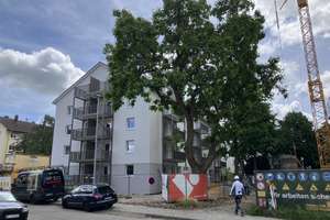 Erstbezug nach Modernisierung: Vier-Zimmer-Wohnung mit 2 Balkonen – Hildebrandstraße 30, 76227 Durlach, Karlsruhe – Vorschaubild 2