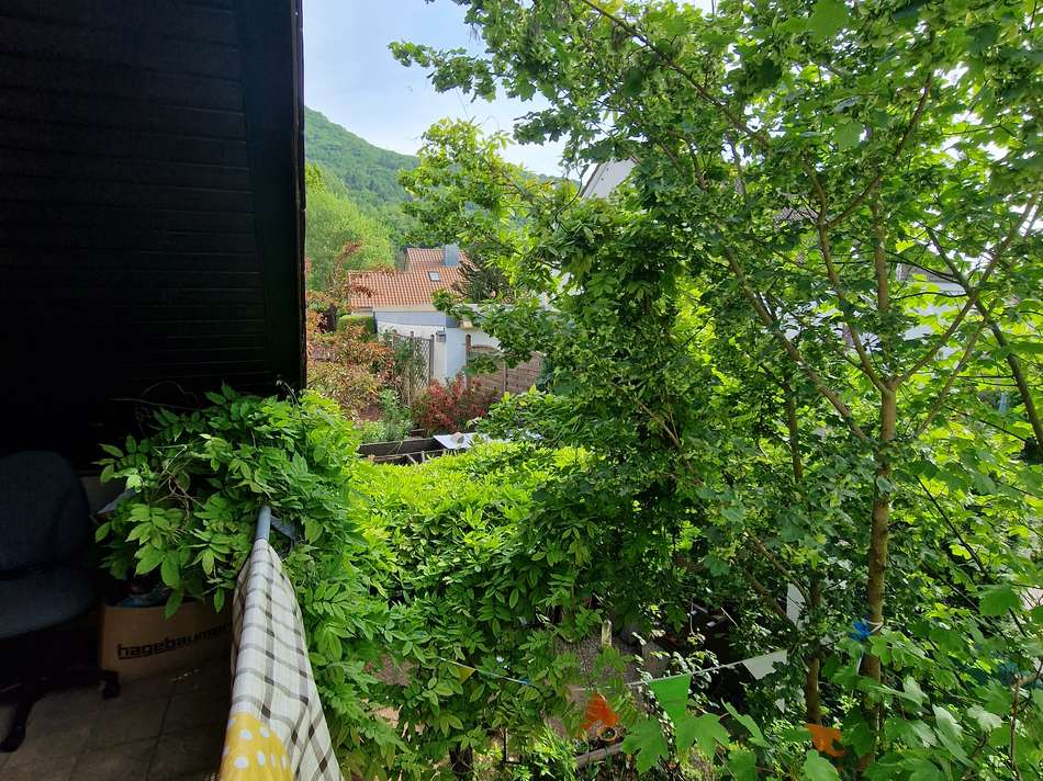 DG Aussicht