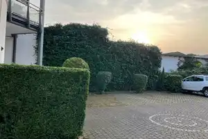 Attraktive 2 - Zimmerwohnung in Solingen Wald – Solingen – Vorschaubild 12