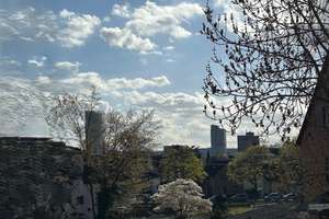 Möbliertes Appartement in erstklassiger Lage! – Königswinterer Str. 239, 53227 Limperich, Bonn – Vorschaubild 11
