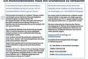 Ein multifunktionales Haus mit Grundstück zu verkaufen – Kirchstraße 54, 72119 Ammerbuch – Vorschaubild 2