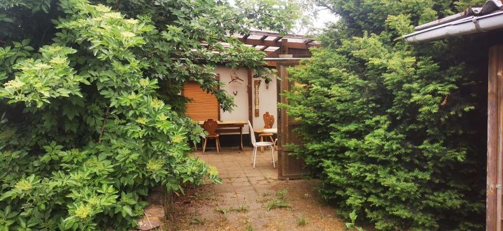 Immobilie in Barleben - ...kleines Häuschen mit Potential auf großem Grundstück!!! - Bild 3