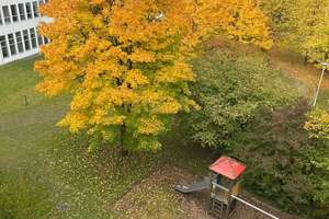 3 Zimmer * WG geeignet * Balkon * Neuhausen * – Birkerstr. 32, 80636 St. Vinzenz, München – Vorschaubild 9