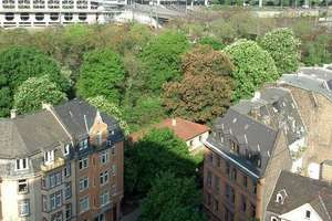 Ein-Zimmer-Wohnung in der Altstadt von Mainz zu verkaufen.
