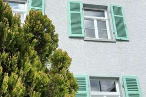 Mehrfamilienhaus oder für 1 Familie: Stilaltbau-Villa komplett-saniert mit Garten, Hof und Stall – Die vollständige Adresse der Immobilie erhältst du vom Anbieter., 64319 Pfungstadt – Vorschaubild 18