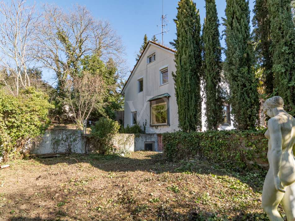 Garten mit Blick auf Haus