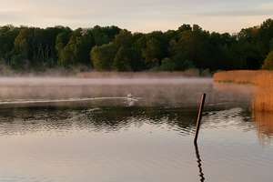 Idyllisch  WOHNEN  - zwischen TRAVE und Mühlenteich - stadtnah  – 23568 Schlutup, Lübeck – Vorschaubild 28