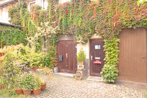 Frankfurt-Seckbach: 3-Familienhaus Whfl. 172 m² + ruhiges Hofhaus mit Flair - Möglichkeit zum Ausbau – Frankfurt am Main – Vorschaubild 5