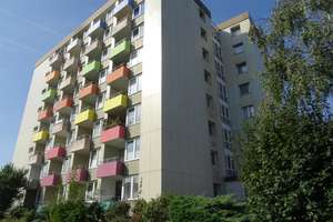 Gut angebundene und gemütliche 2-Zi-Whg (mit Balkon) – Die vollständige Adresse der Immobilie erhältst du vom Anbieter., 29221 Celle – Vorschaubild 2