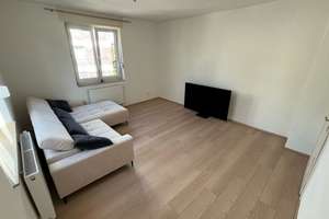 Modernisierte 2-Zimmer-Wohnung in Mannheim-Neckarau – Belfortstrasse 49, 68199 Neckarau, Mannheim – Vorschaubild 17