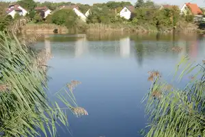 *Reserviert* Großzügiges Reihenhaus mit Natur und See vor der Tür – stadtnah wohnen in Karlsruhe – Lachenweg 32c, 76139 Karlsruhe – Vorschaubild 14
