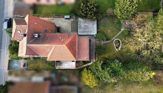Bild von Oldie mit Potential – Großes EFH mit viel Platz!