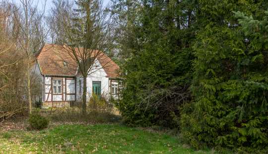 Bild von Forsthaus sucht Liebhaber