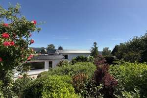 EIN TRAUMHAUS FÜR GARTEN- UND HUNDELIEBHABER IN TOPLAGE VON WI-KOHLHECK
