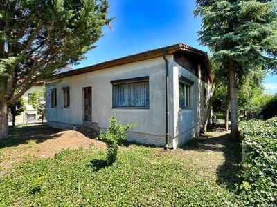 Ihr nächstes Bauprojekt: Massivhaus mit Teilkeller und großem Grundstück