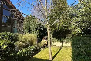 Modernisiertes & luxuriöses Haus mit 2 Wohneinheiten, 2 Einbauküchen, Kamin und Fernblick – Main-Taunus-Kreis – Vorschaubild 12