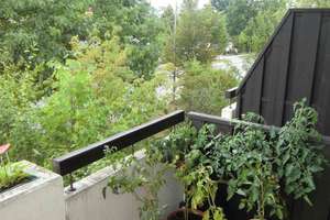 helle, geräumige Ein-Zimmer-Wohnung in Regensburg, Westenviertel – 93049 Westenviertel, Regensburg – Vorschaubild 5