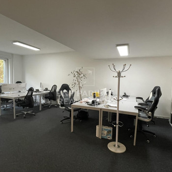 Büroflächen mit Dachterrasse und Domblick