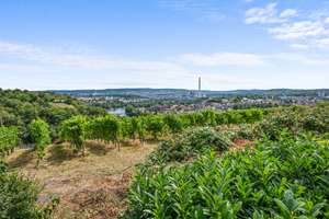 Weinberge vor der Tür, Stuttgart im Blick - Terrassenwohnung mit Weitsicht – Die vollständige Adresse der Immobilie erhältst du vom Anbieter., 70378 Steinhaldenfeld, Stuttgart – Vorschaubild 10