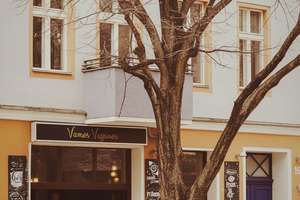 Stilvoll sanierte Altbauwohnung mit Südbalkon und Blick über die Stadt – Behmstrasse 65, 10439 Prenzlauer Berg, Berlin – Vorschaubild 14