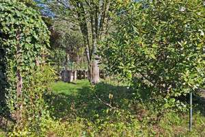 Bungalow in MG – zentrumsnah, dennoch abgeschieden vom Lärm der Stadt – umgeben von Natur pur – Klagenfurter Straße 9-11, 41063 Am Wasserturm, Mönchengladbach – Vorschaubild 10