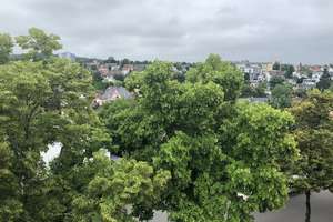 Stilvolle DG-Wohnung zum Wohnen und/oder Arbeiten – Lahnstraße 24, 65195 Rheingauviertel / Hollerborn, Wiesbaden – Vorschaubild 12