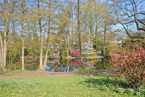 Helle, sonnige Eigentumswohnung - Ruhiges, grünes Wohnen direkt am Alsterlauf mit Kamin und TG – Die vollständige Adresse der Immobilie erhältst du vom Anbieter., 22297 Alsterdorf, Hamburg – Vorschaubild 15