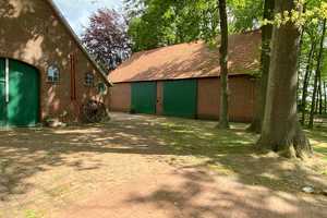 Provisionsfrei! Pferdeliebhaber + Naturfreunde willkommen! Einfamilienhaus in Hopsten zu vermieten – Steinfurt (Kreis) – Vorschaubild 8