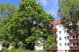 Naherholung pur! Frische Luft, Ruhe und nette Nachbarn... – Achatstraße 34, 9116 Altendorf, Chemnitz – Vorschaubild 3