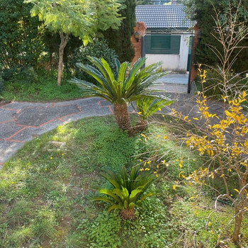 Immobilien zum Verkauf in Barx