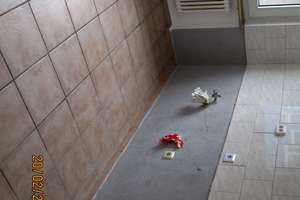 Schöne 3,5-Zimmer-Wohnung mit Balkon renoviert / bezugsfertig in Duisburg    – Lösorterstr. 20, 47137 Mittelmeiderich, Duisburg – Vorschaubild 9