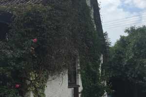 Einfamilienhaus in München Aubing - Termin So 11.05. um 10:00 Uhr - nach ANMELDUNG – Trimburgstraße 3, 81249 München – Vorschaubild 16