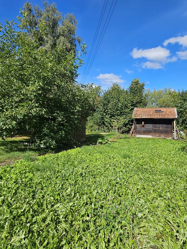 Immobilie in Aldingen - Aldingen: Gr. 1 - Fam.Haus mit Einliegerwohnung + Baugrundst., Garten + Garage - Bild 4