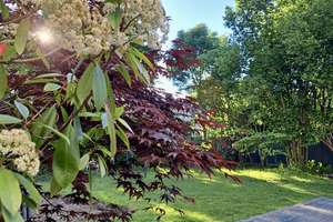 Kirchrode: Schönes Familienhaus mit Garten und Kamin