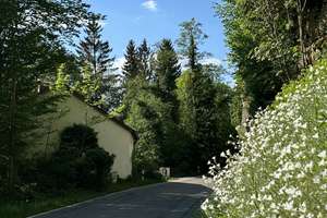 Traumhaftes Anwesen im Schambachtal mit 33.200 m² Grundstück – Mühlenstraße 22, 85110 Kipfenberg – Vorschaubild 25