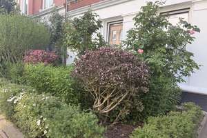 Helle, schöne und gepflegte Altbauwohnung mit Dielenfussboden und Einbauküche – Fockstrasse 26, 24114 Südfriedhof, Kiel – Vorschaubild 35