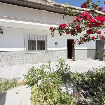 Finca mit Landhaus